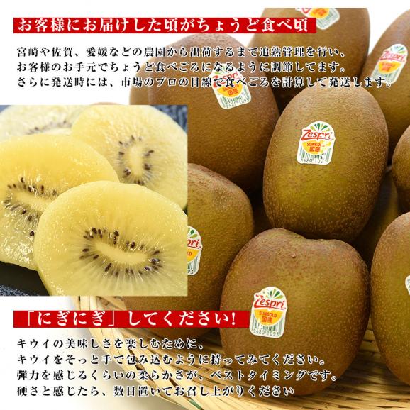 最高の品質 国産 ゼスプリ・サンゴールドキウイ「ジャンボサイズ」 約1.8 ミュージシャン