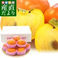 奈良県産 富有柿 大玉3Lから4L 3.5キロ 9玉から12玉 送料無料 甘柿 カキ 市場発送