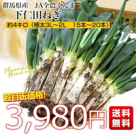 群馬県産 JA全農ぐんま 下仁田ねぎ 約4キロ（3Lから2L 15本から20本） 送料無料　市場発送 葱 ネギ 長ネギ しもにた クール便03