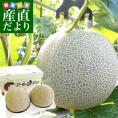 熊本県産 特大アールスメロン　約3.5キロ 化粧箱(２玉入り) 送料無料 めろん JA熊本うき JA熊本市 JA鹿本