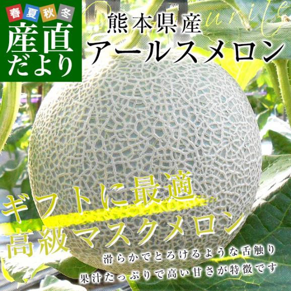 熊本県産 特大アールスメロン　約3.5キロ 化粧箱(２玉入り) 送料無料 めろん JA熊本うき JA熊本市 JA鹿本02