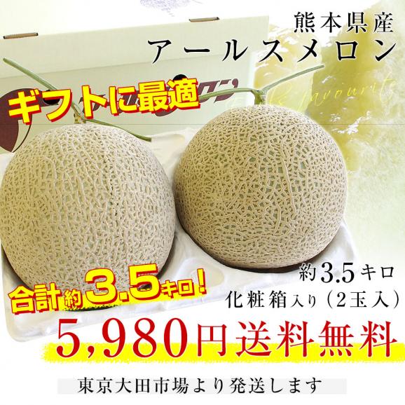 【お歳暮 ギフト】熊本県産 アールスメロン 約3.5キロ 化粧箱(2玉入り) 送料無料 めろん03