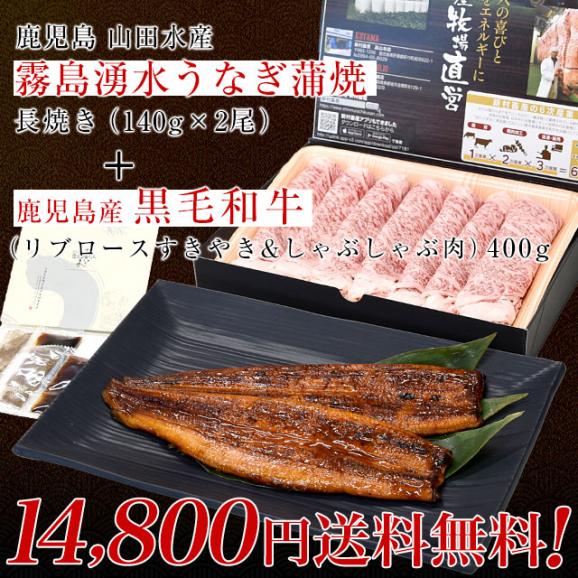 鹿児島から産地直送品！　鹿児島県産「霧島湧水うなぎ蒲焼」×鹿児島県産「黒毛和牛リブロースすきやき＆しゃぶしゃぶ肉」究極のご馳走セット　産地直送　送料無料　うなぎ蒲焼き・ウナギ・国産和牛03