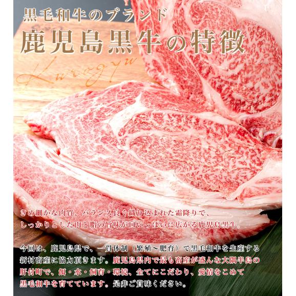 鹿児島から産地直送品！　鹿児島県産「霧島湧水うなぎ蒲焼」×鹿児島県産「黒毛和牛リブロースすきやき＆しゃぶしゃぶ肉」究極のご馳走セット　産地直送　送料無料　うなぎ蒲焼き・ウナギ・国産和牛04