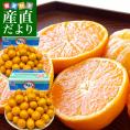 長崎県 JAながさき西海「味まる」2Sから3Sサイズ 超小粒4.5キロ×2箱（合計9キロ 150玉前後）送料無料　みかん ミカン 蜜柑 高糖度みかん