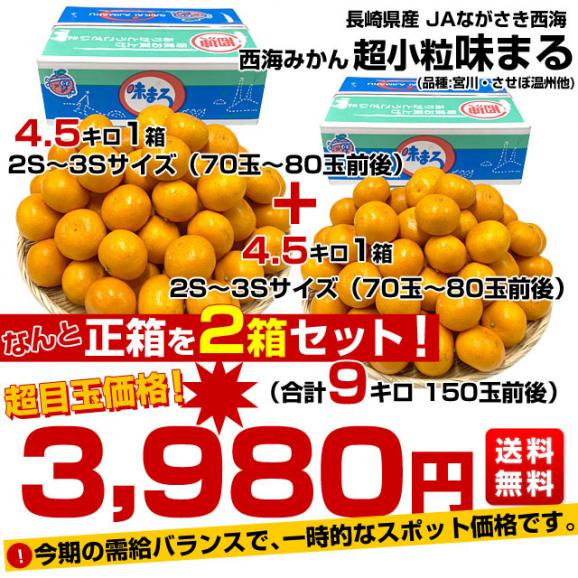 長崎県 JAながさき西海「味まる」2Sから3Sサイズ 超小粒4.5キロ×2箱（合計9キロ 150玉前後）送料無料　みかん ミカン 蜜柑 高糖度みかん03