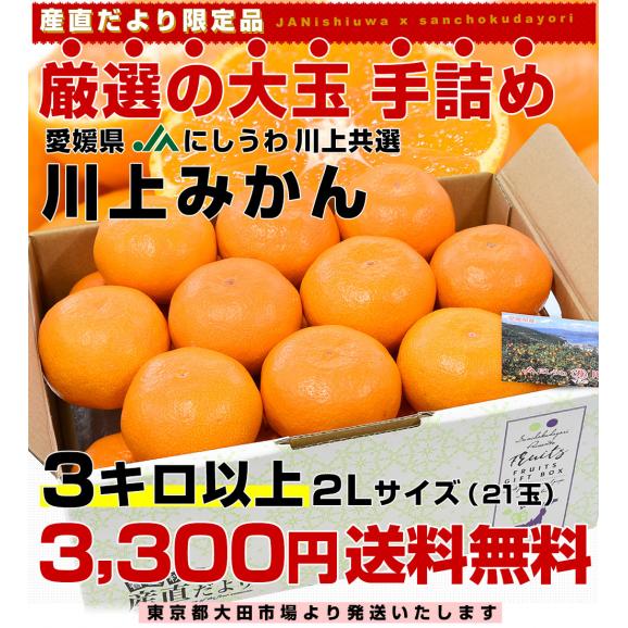 【お歳暮 ギフト】愛媛県 JAにしうわ「川上みかん」2Lサイズ 3キロ以上(21玉)送料無料 みかん ミカン 蜜柑03