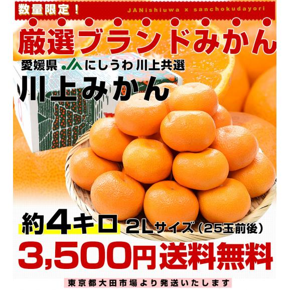 愛媛県 JAにしうわ「川上みかん」2Lサイズ 約4キロ（25玉前後）送料無料 みかん ミカン 蜜柑 市場発送03