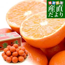 佐賀県産 JAからつ みはや 約5キロ 秀品2LからSサイズ（24玉から46玉前後） 送料無料 市場発送 みかん 柑橘