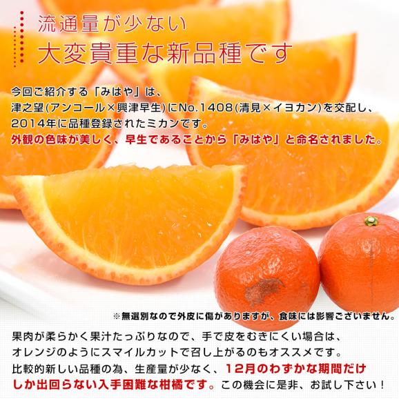佐賀県産 JAからつ みはや 約5キロ 秀品2LからSサイズ（24玉から46玉前後） 送料無料 市場発送 みかん 柑橘05