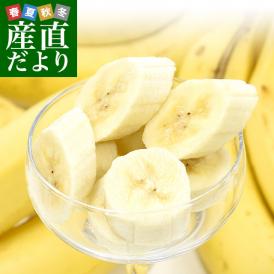 台湾産 台湾バナナ（北蕉種）約2キロ（12本～15本前後）送料無料 ばなな 阿里山
