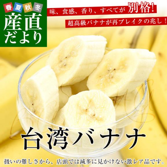 台湾産 台湾バナナ（北蕉種）約2キロ（12本～15本前後）送料無料 ばなな 阿里山02