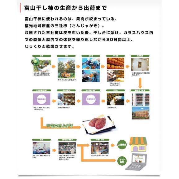 富山県ふるさと認証食品「富山干柿」600g化粧箱2Lから3L（7玉から8玉）送料無料 柿 干し柿 ほしがき05