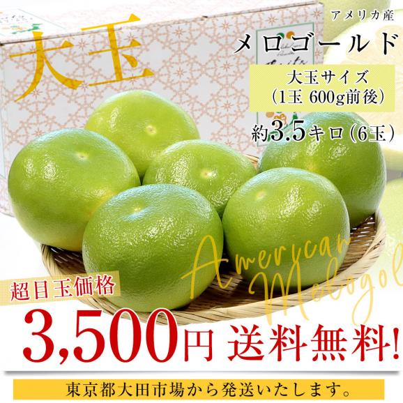 アメリカ産 メロゴールド 大玉サイズ 約3.5キロ(6玉) 送料無料 グレープフルーツ 柑橘 市場発送03