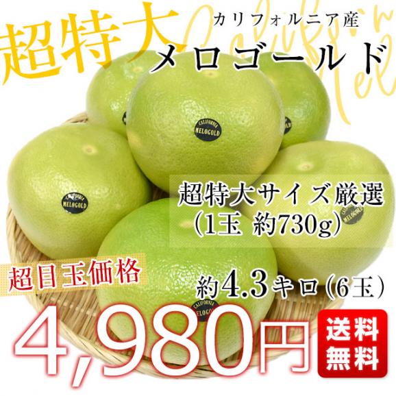 カリフォルニア産 メロゴールド 超特大サイズ 約4.3キロ（6玉）送料無料 グレープフルーツ 柑橘 市場発送03