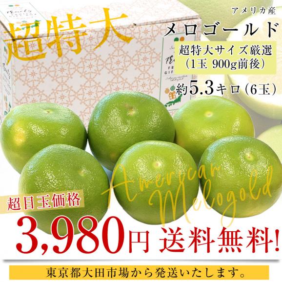 アメリカ産 メロゴールド 超特大サイズ 約5.3キロ(6玉)送料無料 グレープフルーツ 柑橘 市場発送03