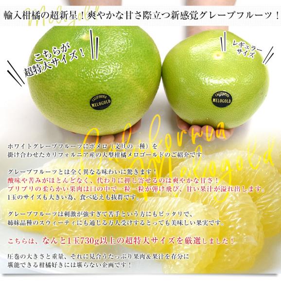 カリフォルニア産 メロゴールド 超特大サイズ 約4.3キロ（6玉）送料無料 グレープフルーツ 柑橘 市場発送04