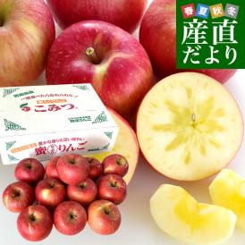 青森県産 JA津軽みらい 蜜入りりんご「こみつ」 秀A品　2キロ（7玉から12玉）送料無料 林檎 りんご 市場発送