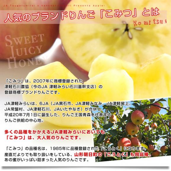 青森県産 JA津軽みらい 蜜入りりんご「こみつ」 秀A品　2キロ（7玉から12玉）送料無料 林檎 りんご 市場発送04