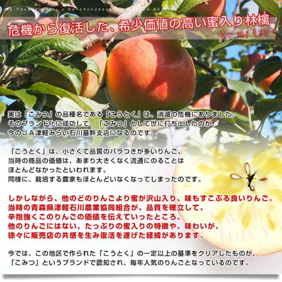 青森県産 JA津軽みらい 蜜入りりんご「こみつ」 秀A品　2キロ（7玉から12玉）送料無料 林檎 りんご 市場発送05
