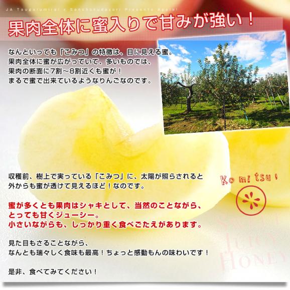 青森県産 JA津軽みらい 蜜入りりんご「こみつ」 秀A品　2キロ（7玉から12玉）送料無料 林檎 りんご 市場発送06