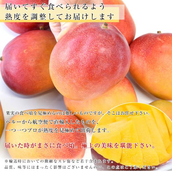 ペルー産 アップルマンゴー　ケント種  約1.5キロ（3玉入） 送料無料 マンゴー トロピカルフルーツ06