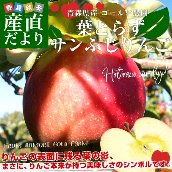 青森県産　ゴールド農園　葉とらずサンふじりんご　秀品5キロ (16玉から20玉入) 送料無料 林檎 リンゴ サンふじ 青森 津軽 弘前 市場発送02