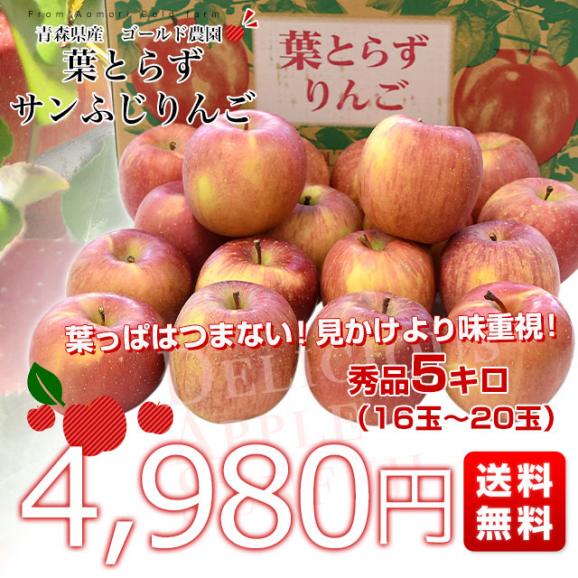 青森県産　ゴールド農園　葉とらずサンふじりんご　秀品5キロ (16玉から20玉入) 送料無料 林檎 リンゴ サンふじ 青森 津軽 弘前 市場発送03