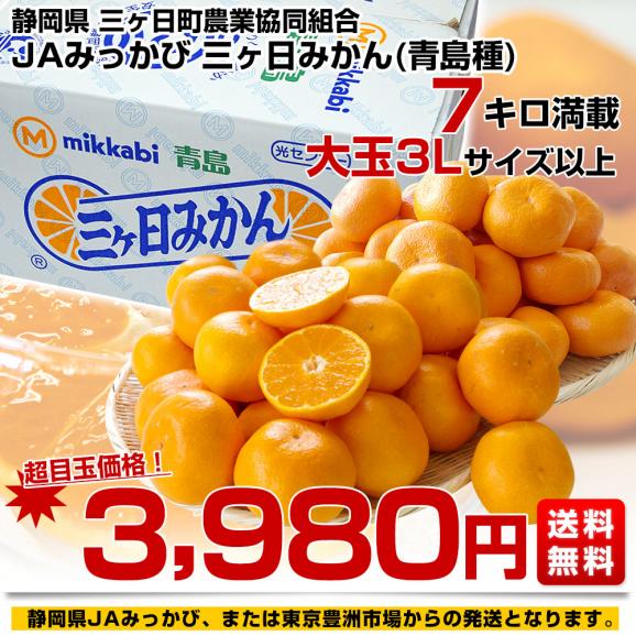 【家計応援価格！】静岡県産 JAみっかび 三ケ日みかん (青島種) 3Lサイズ 7キロ (30玉から40玉）送料無料 三ヶ日 みつかび ミカン 温州みかん03