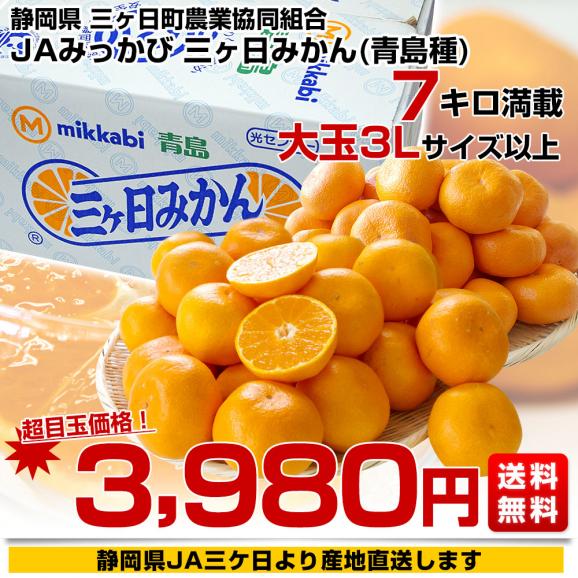 静岡県より産地直送 JAみっかび 三ケ日みかん (青島種) 3Lサイズ 7キロ