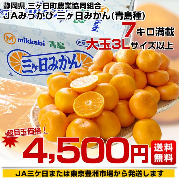 静岡県産 JAみっかび 三ケ日みかん (青島種) 3Lサイズ 7キロ (30 静岡県産 JAみっかび 三ケ日みかん (青島種) 3Lサイズ 7キロ (30
