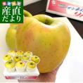 青森県より産地直送 JAつがる弘前 サン陸奥 超大玉 5キロ (9玉から11玉) 送料無料 りんご リンゴ 林檎