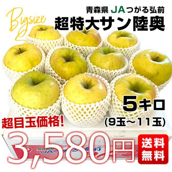 青森県より産地直送 JAつがる弘前 サン陸奥 超大玉 5キロ (9玉