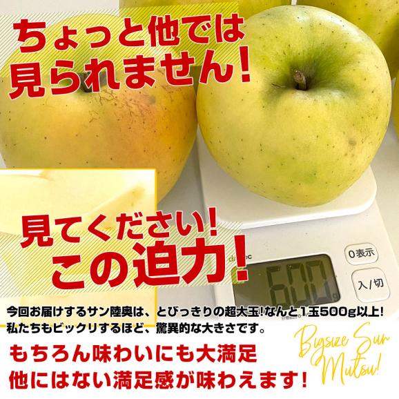 青森県より産地直送 JAつがる弘前 サン陸奥 超大玉 5キロ (9玉