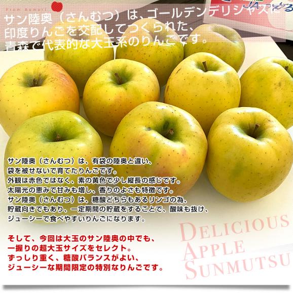 青森県より産地直送 JAつがる弘前 サン陸奥 超大玉 5キロ (9玉から11玉) 送料無料 りんご リンゴ 林檎05