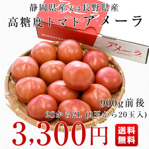 静岡県産又は長野県産　高糖度トマト　アメーラ　900g前後　Sから2L (9玉から20玉入) クール便 送料無料 市場発送 03