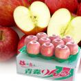 青森県より産地直送　高木商店　マルタカブランド　サンふじりんご　秀A　大玉　3キロ（10玉入）送料無料　林檎　りんご　リンゴ
