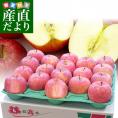 青森県より産地直送　高木商店　マルタカブランド　サンふじりんご　秀A　大玉　5キロ（18玉入）送料無料　林檎　りんご　リンゴ