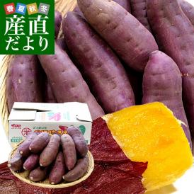 千葉県産 JAかとり 紅はるか Lサイズ 約5キロ 13本前後 送料無料 さつまいも サツマイモ 薩摩芋 新芋 市場発送