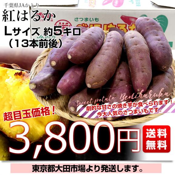 千葉県産 JAかとり 紅はるか Lサイズ 約5キロ 13本前後 送料無料 さつまいも サツマイモ 薩摩芋 新芋 市場発送03