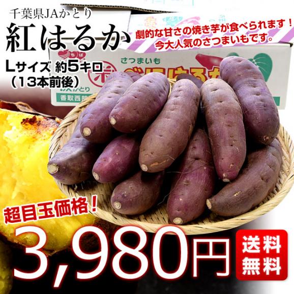 千葉県産 JAかとり 紅はるか Lサイズ 約5キロ 13本前後 送料無料 さつまいも サツマイモ 薩摩芋 新芋 市場発送03