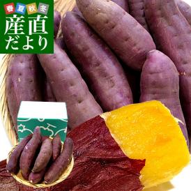 千葉県産 JAかとり 紅はるか Lサイズ 約2.5キロ 7本前後 送料無料 さつまいも サツマイモ 薩摩芋 新芋 市場発送