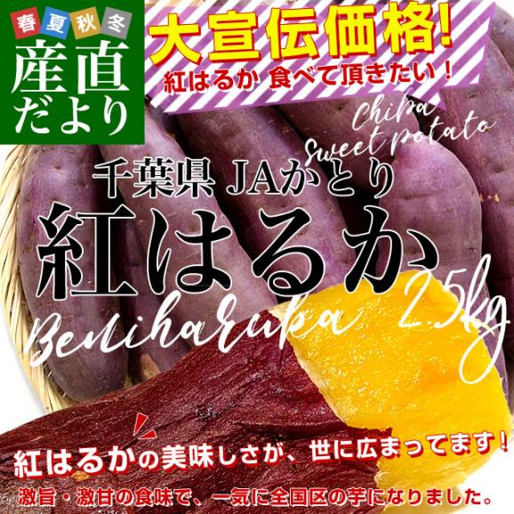 千葉県産 JAかとり 紅はるか Lサイズ 約2.5キロ 7本前後 送料無料 さつまいも サツマイモ 薩摩芋 新芋 市場発送02