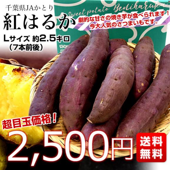 千葉県産 JAかとり 紅はるか Lサイズ 約2.5キロ 7本前後 送料無料 さつまいも サツマイモ 薩摩芋 新芋 市場発送03
