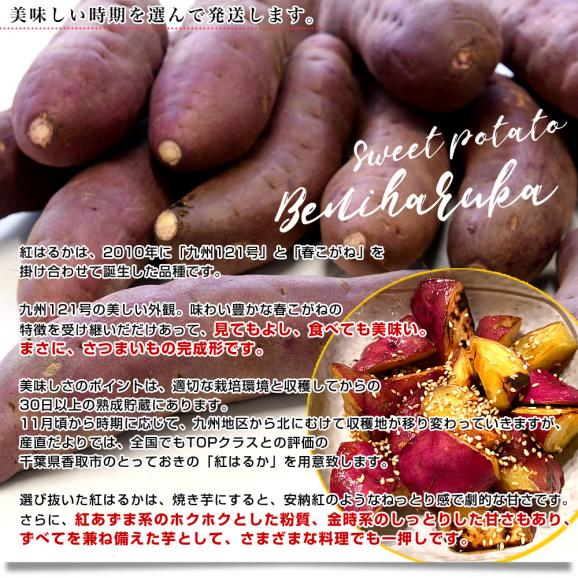 千葉県産 JAかとり 紅はるか Lサイズ 約2.5キロ 7本前後 送料無料 さつまいも サツマイモ 薩摩芋 新芋 市場発送05