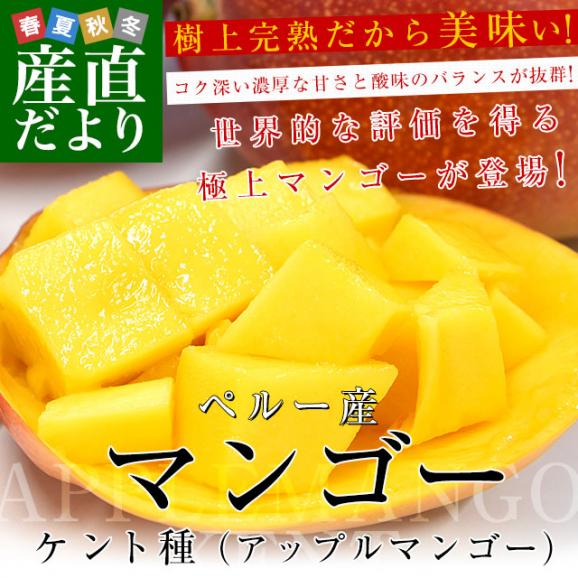ペルー産アップルマンゴー ケント種 約6キロ原体箱(12玉から14 ペルー産アップルマンゴー ケント種 約6キロ原体箱(12玉から14