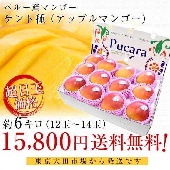 ペルー産アップルマンゴー ケント種 約6キロ原体箱(12玉から14 ペルー産アップルマンゴー ケント種 約6キロ原体箱(12玉から14