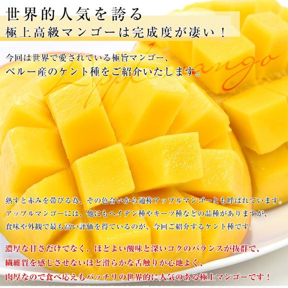 ペルー産アップルマンゴー　ケント種 約6キロ原体箱（12玉から14玉入） 送料無料 マンゴー トロピカルフルーツ04