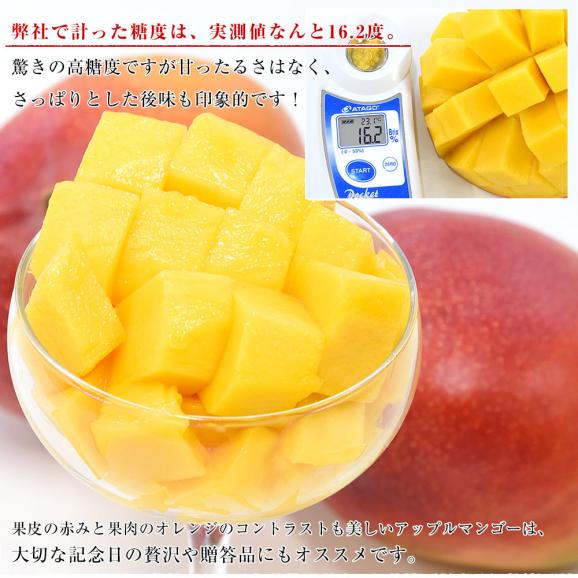 ペルー産アップルマンゴー ケント種 約6キロ原体箱(12玉から14 ペルー産アップルマンゴー ケント種 約6キロ原体箱(12玉から14