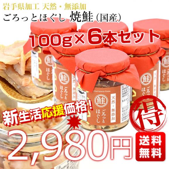 岩手県から直送 天然・無添加 ごろっとほぐし 焼鮭（国産）100g×6本セット 送料無料 秋鮭 国産鮭 鮭ほぐし 鮭フレーク ご飯のお供 ごはんのお供03